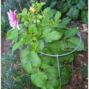 -img_0176_2_1788880655