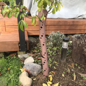 tree_guard_spiral1_1225401116