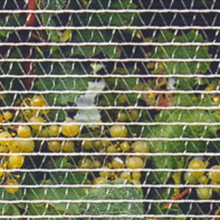 Bird Netting - economy grade