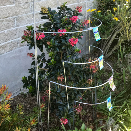 -half_hoops_silver_all_sizes_in_gardenf