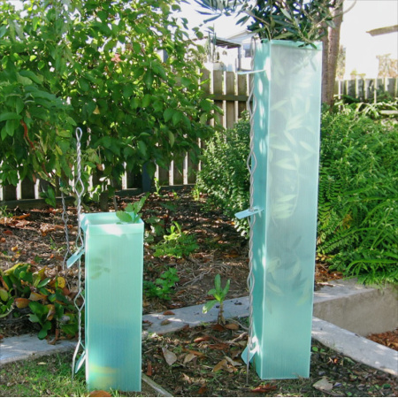 2_sizes_tree_guards_390730033