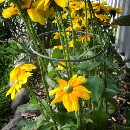 big_loop_silver_yellow_flower-