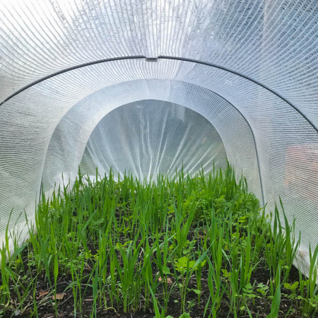 classic_cloche_kit_mikroclima