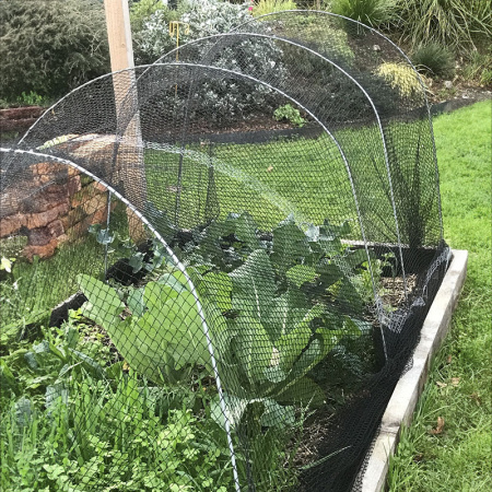 cloche_kit_bird_black2021