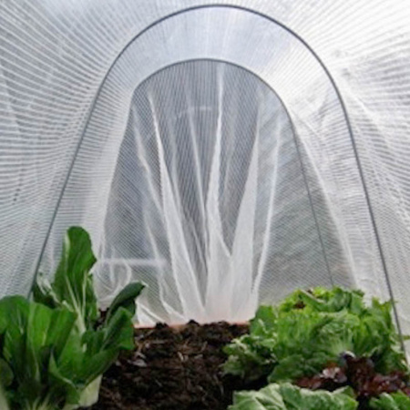 jumbo_mikro_trademe_100mm