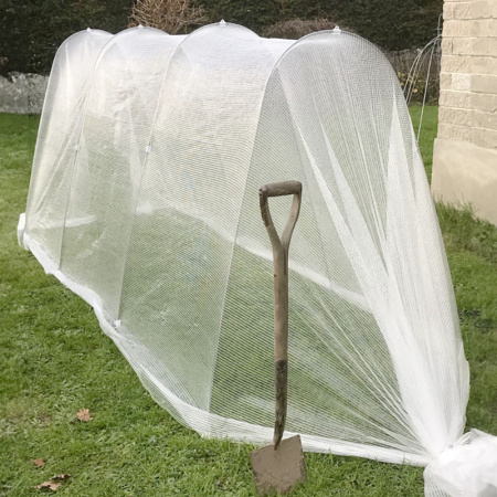 mammoth_cloche_kit_mikroclima2021_287517669_963684648