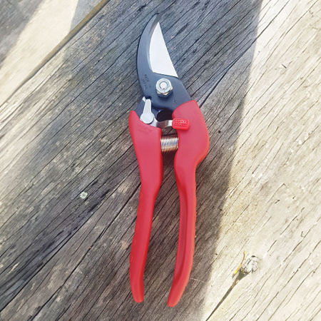 secatears_1335611539